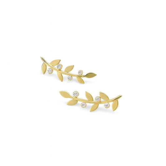 Leaves & Blossoms Climbers