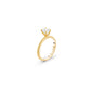 The Signature Round Ring