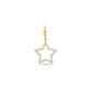 Star Charm