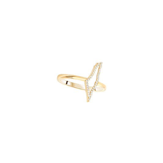 Palestine Ring