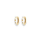 Pearly Hoops