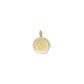 framed coin charm